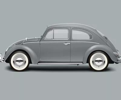 Beetle